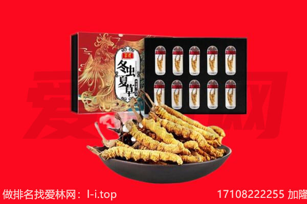 榆林市回收虫草.jpg